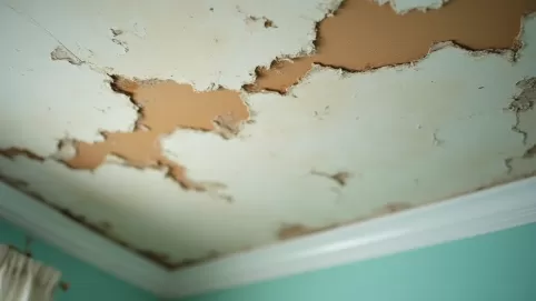 Koszt naprawy sufitu po zalaniu